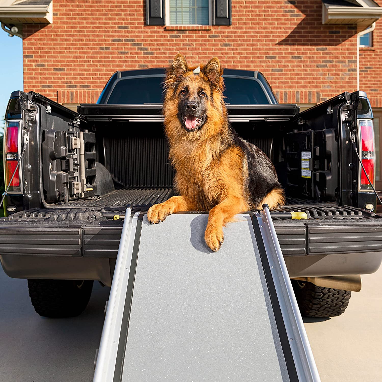 PetSafe Happy Ride Extra Long Telescoping RV Dog Ramp