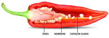 Capsaicin