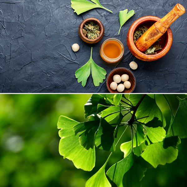 Ginkgo Biloba: A Natural Remedy for Your Brain and Body